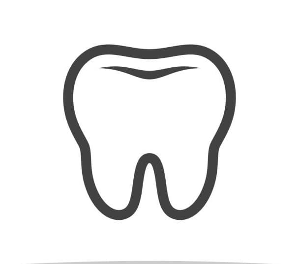 Dental school experiences section